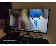 Test Acer Nitro KG273UW2bmiippx