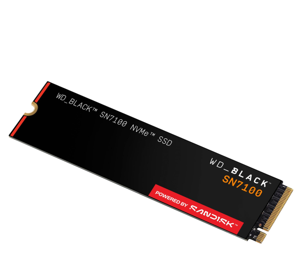 sandisk black sn7100
