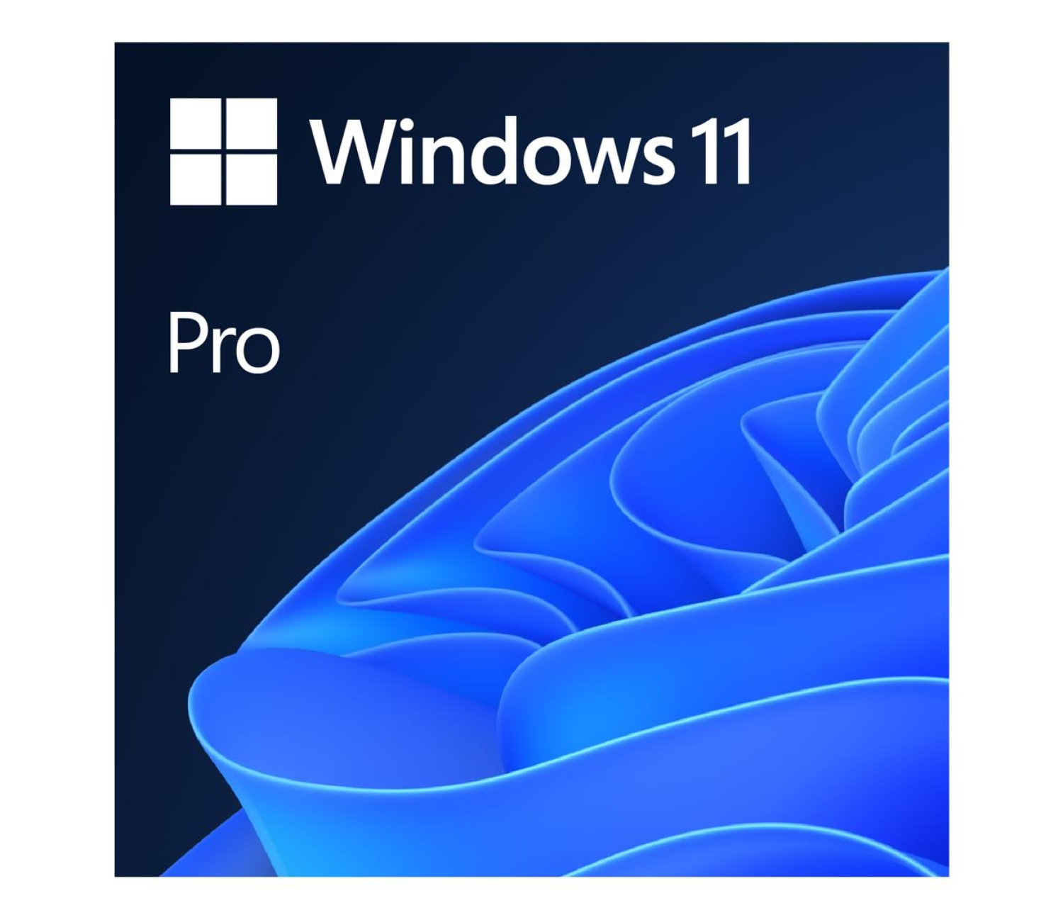 Microsoft Windows 11 Pro 64bit PL DVD OEM (FQC-10544)