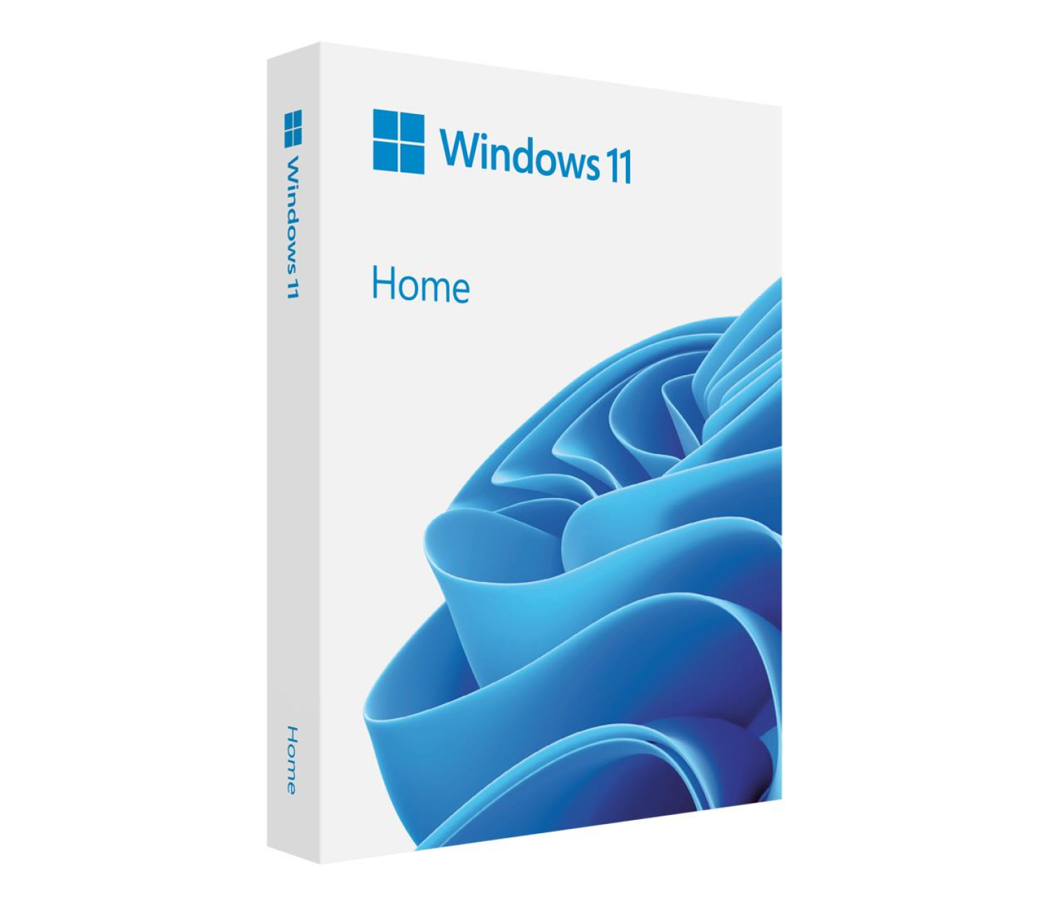 Microsoft Windows 11 Home BOX USB PL (HAJ-00116)
