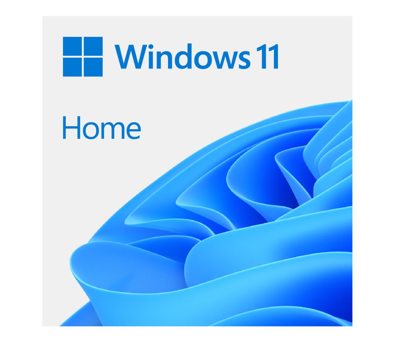 Microsoft OEM Windows 11 Home PL x64 DVD KW9-00648