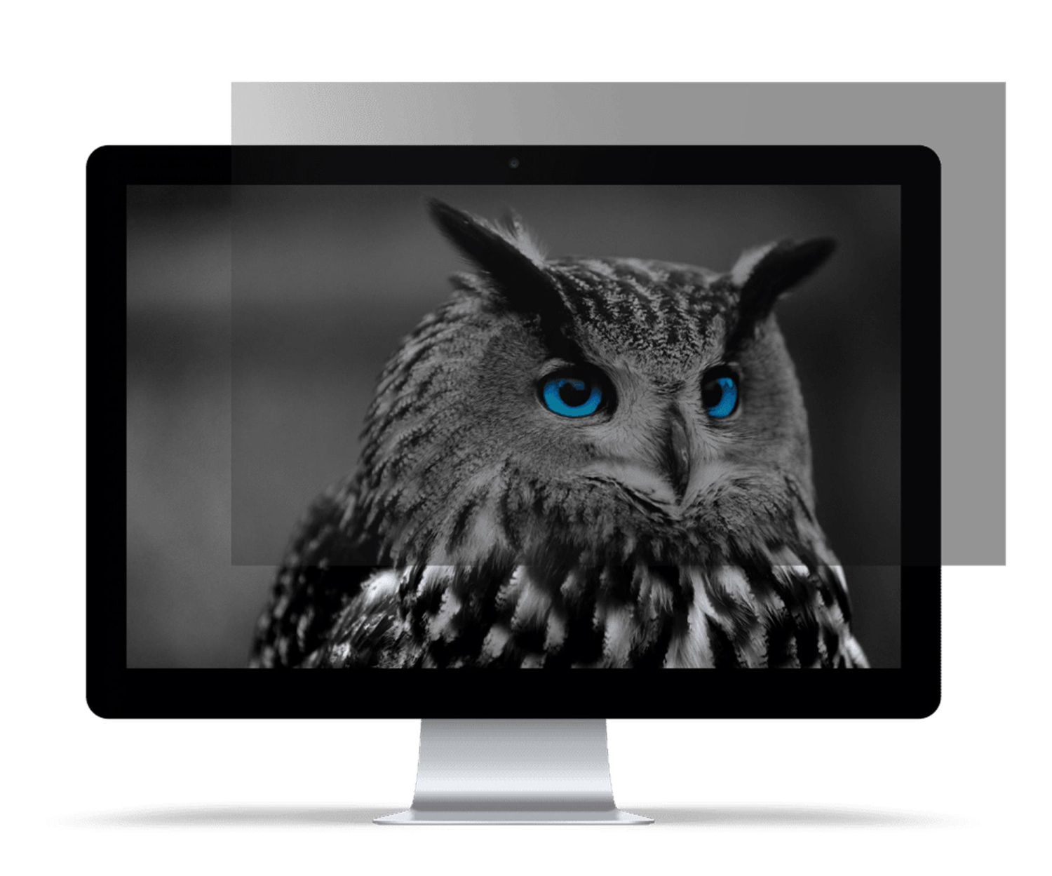 Natec Filtr prywatyzujący RODO OWL 16" 16:10