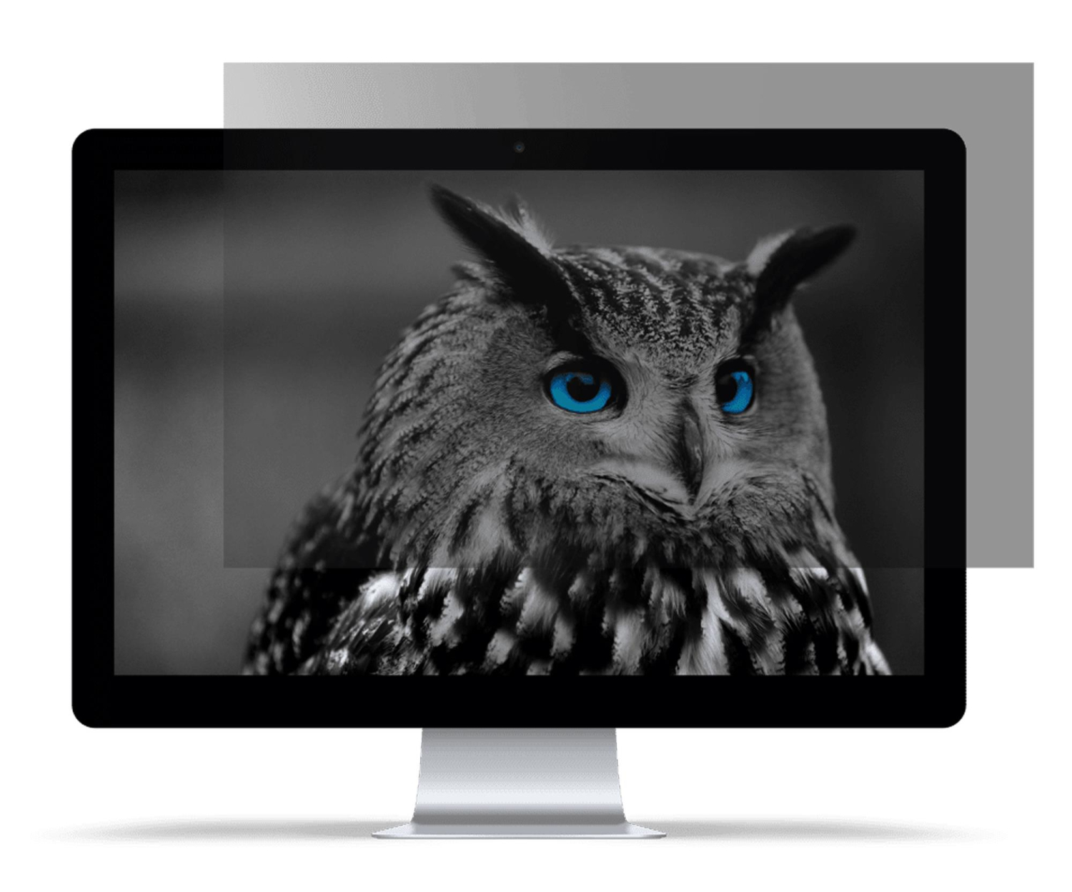 Natec Filtr prywatyzujący RODO OWL 13,3" 16:9