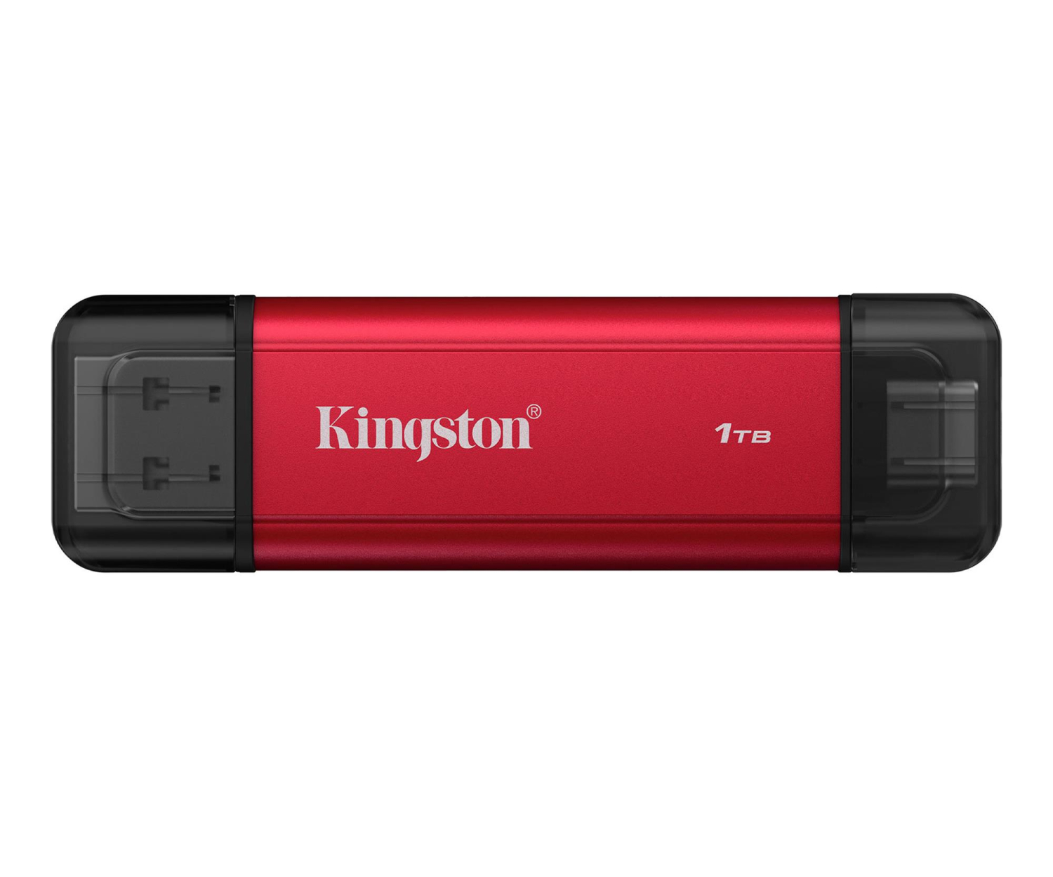 Kingston 1TB DualPortable