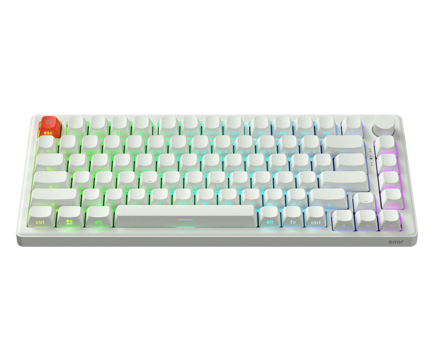 SMX Kishu Honey Switch Lumos white