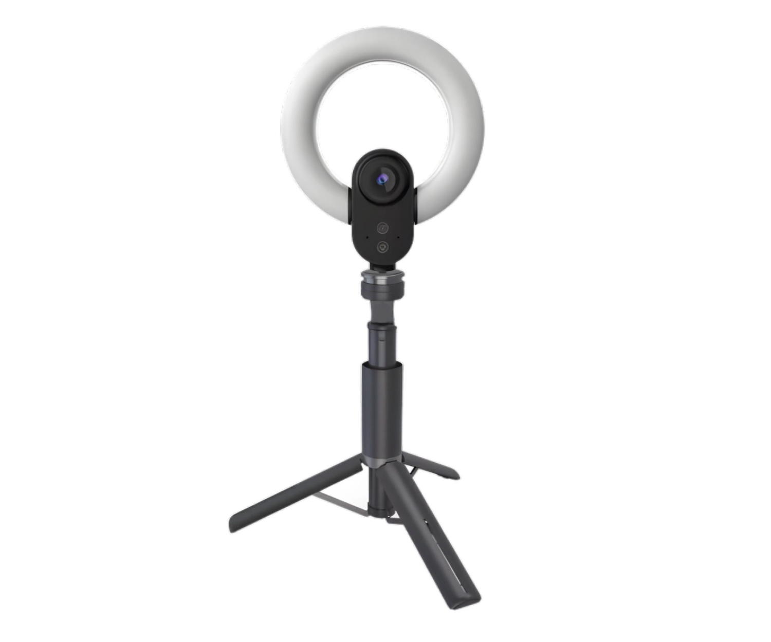 Lorgar Circulus 910