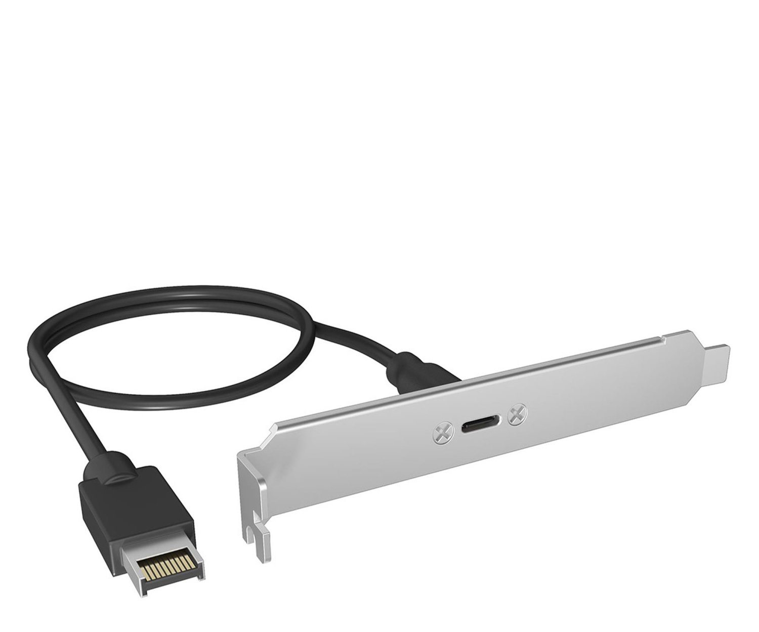 ICY BOX Panel tylny USB Type-C