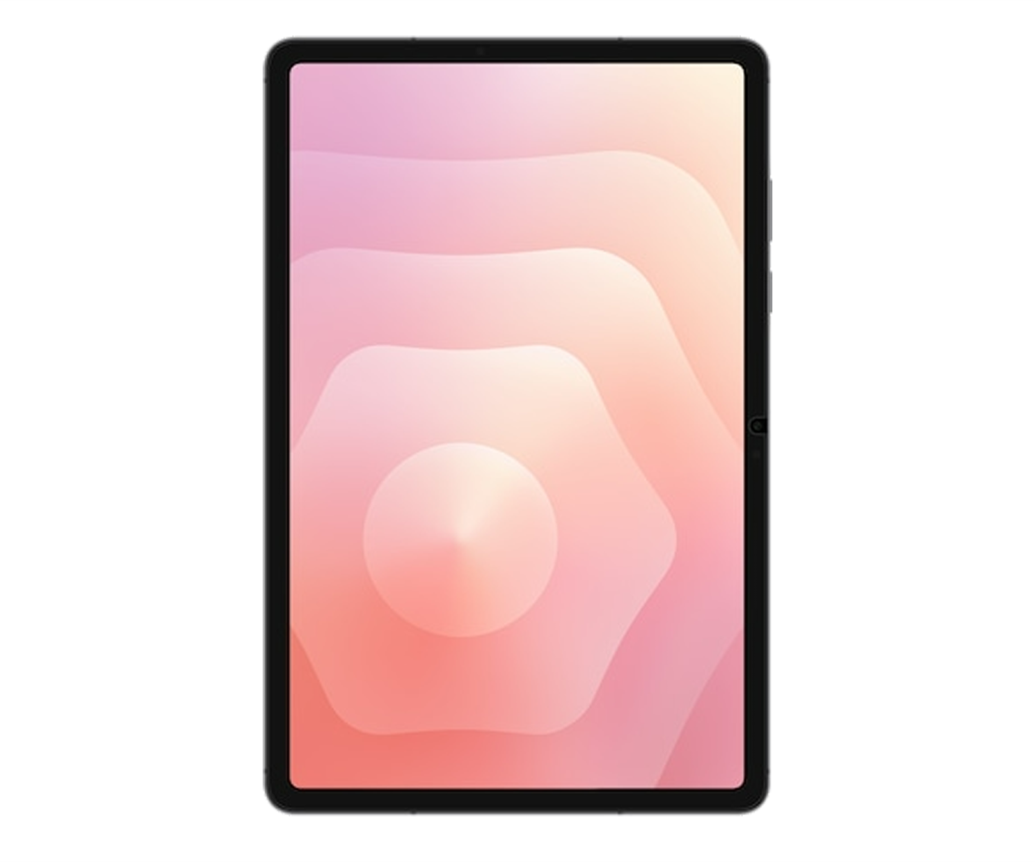 Samsung Anti-Reflecting Screen Protector do Tab S11