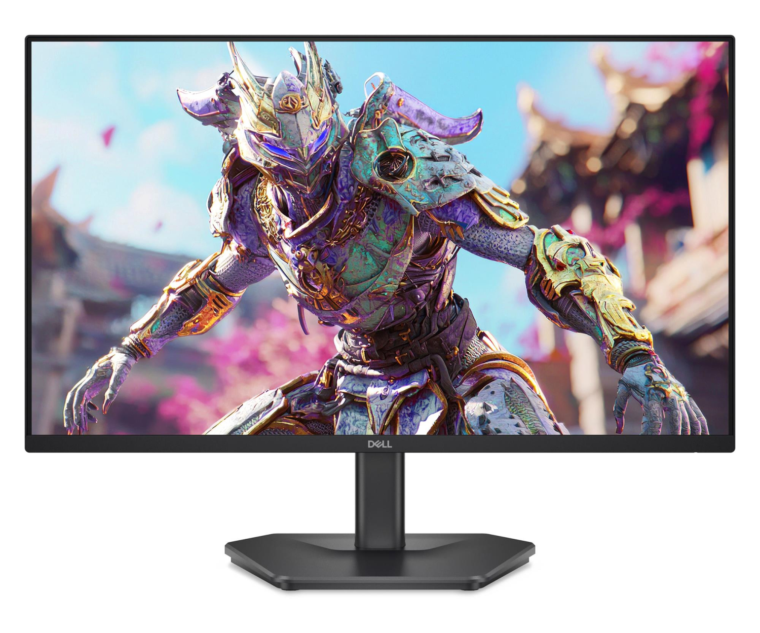 Dell SE2426HG