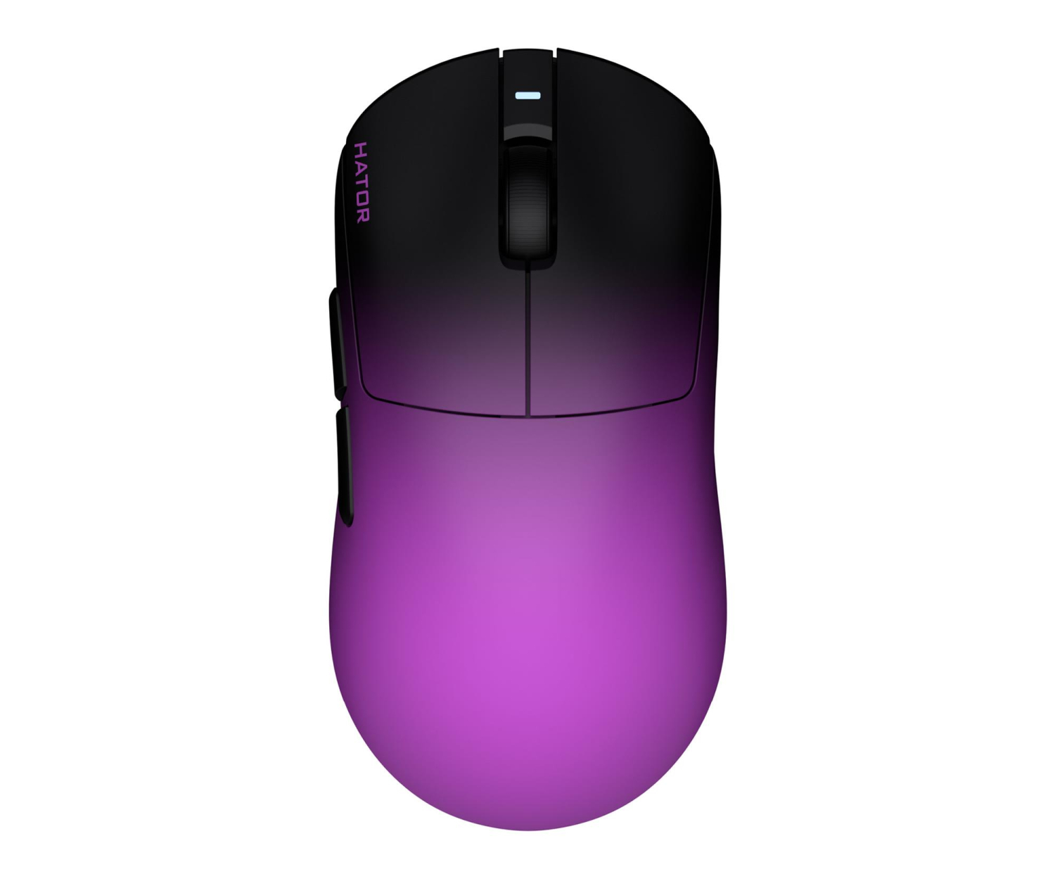 HATOR Quasar 3 Ultima 8k (black-violet)