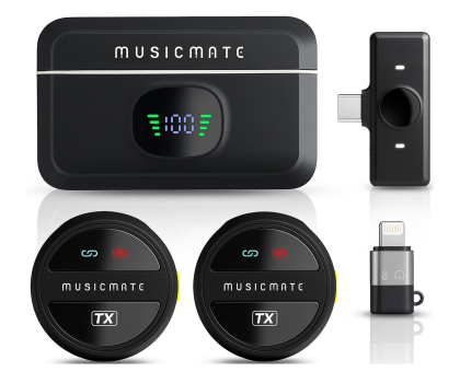 Mikrofon MusicMate Mikrofon MM-110 EchoVibe