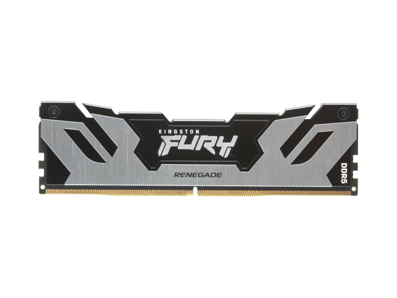 Kingston FURY 16GB (1x16GB) 6400MHz CL32 Renegade Silver