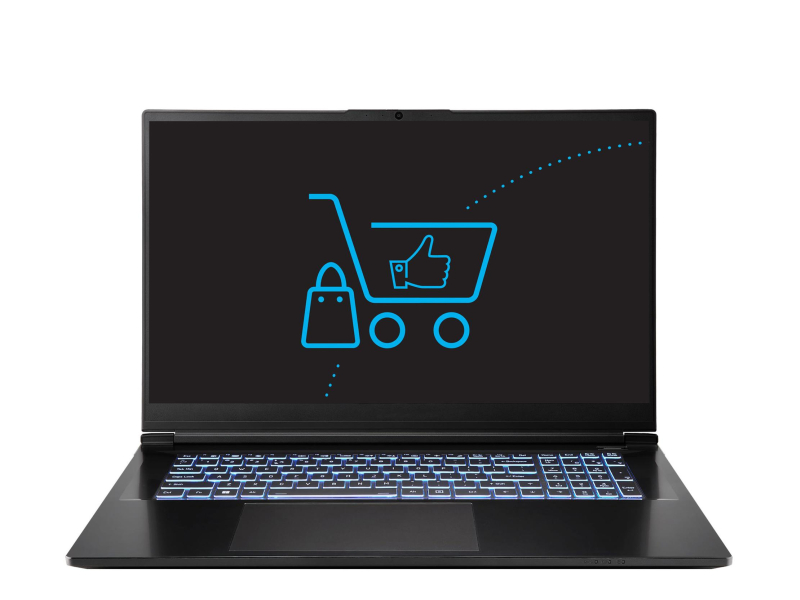 Dream Machines RG5070-17PL30 Ultra 9-290HX/32GB/1TB RTX5070 240Hz