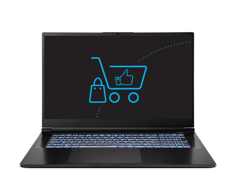 Dream Machines RG5070-17PL27 i9-14900HX/32GB/1TB RTX5070 240Hz