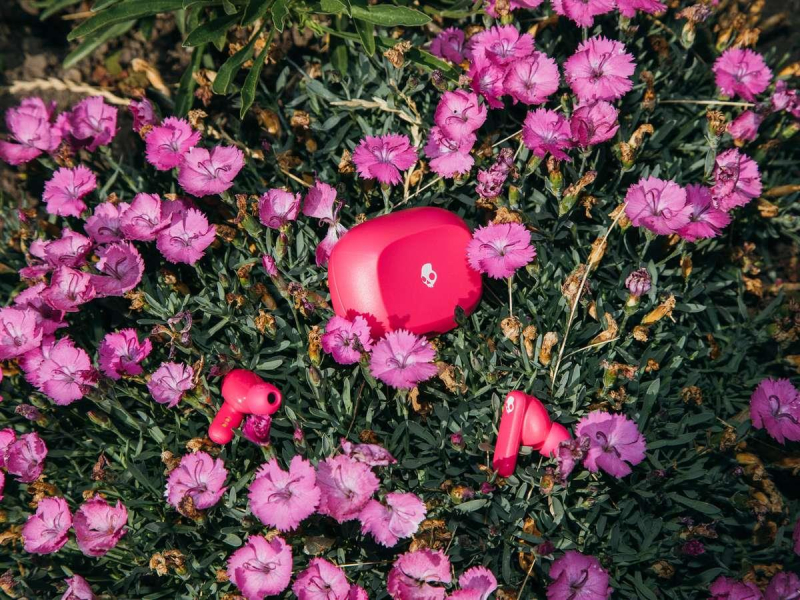 Skullcandy Smokin' Buds Pink