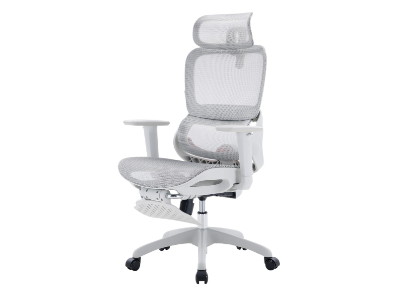 Sihoo B100 Mesh