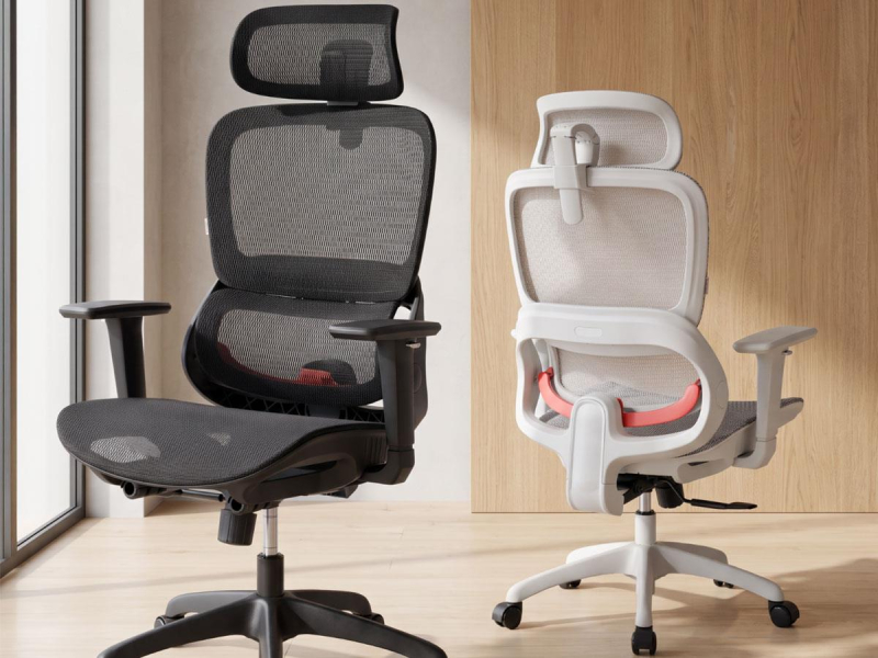 Sihoo B100 Mesh biały