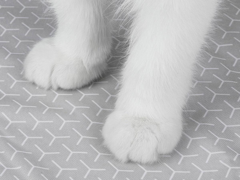 PetKit Pura MAX 2 mata pod samoczyszczającą kuwetę