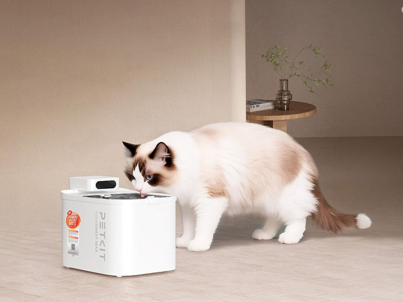 PetKit Eversweet Max 2 inteligentne poidło dla zwierząt