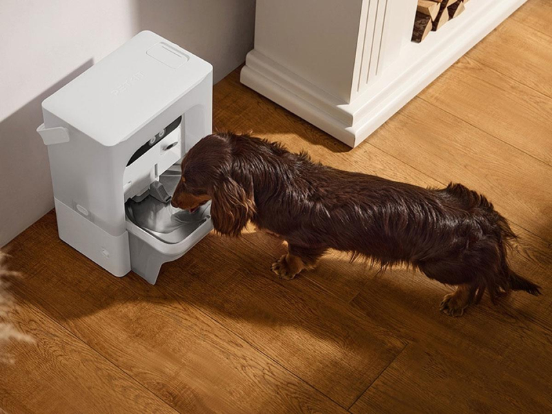 PetKit Ultra wygodne zasilanie