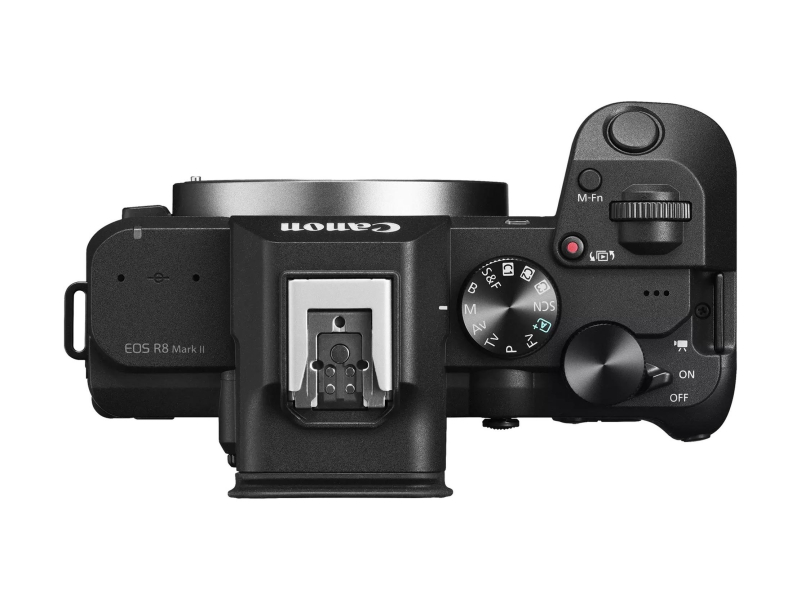 Canon EOS R8 Mark II - wszechstronność