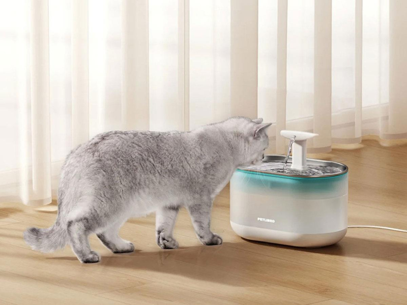 Petlibro Filtr do poidła Capsule (8 szt.)