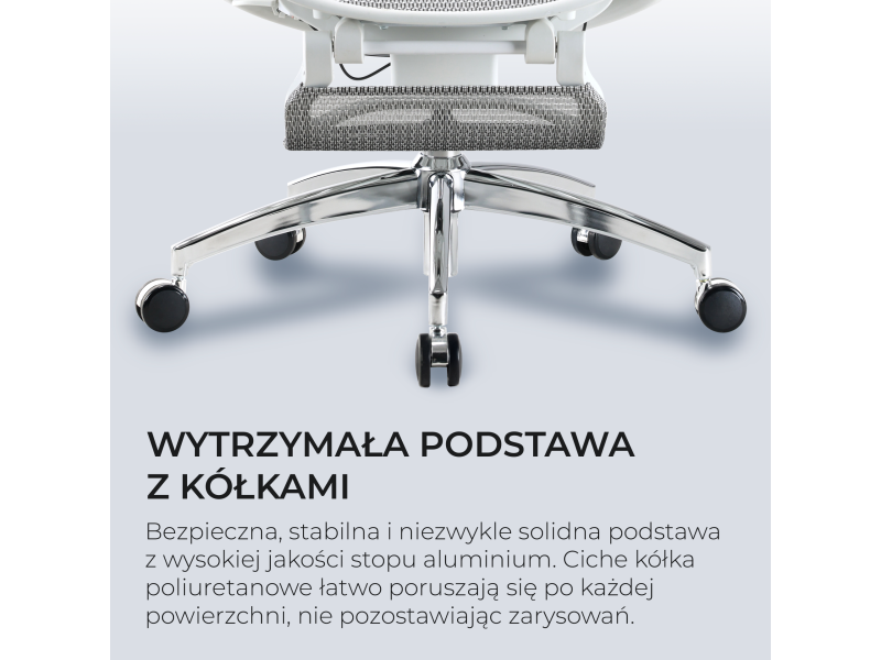 Sihoo DORO C300 Pro Mesh biały