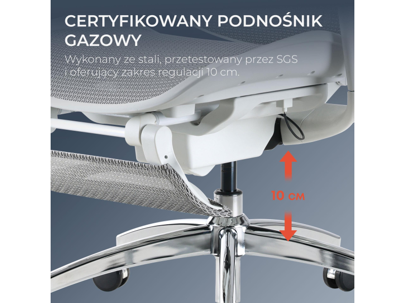 Sihoo DORO C300 Pro Mesh biały