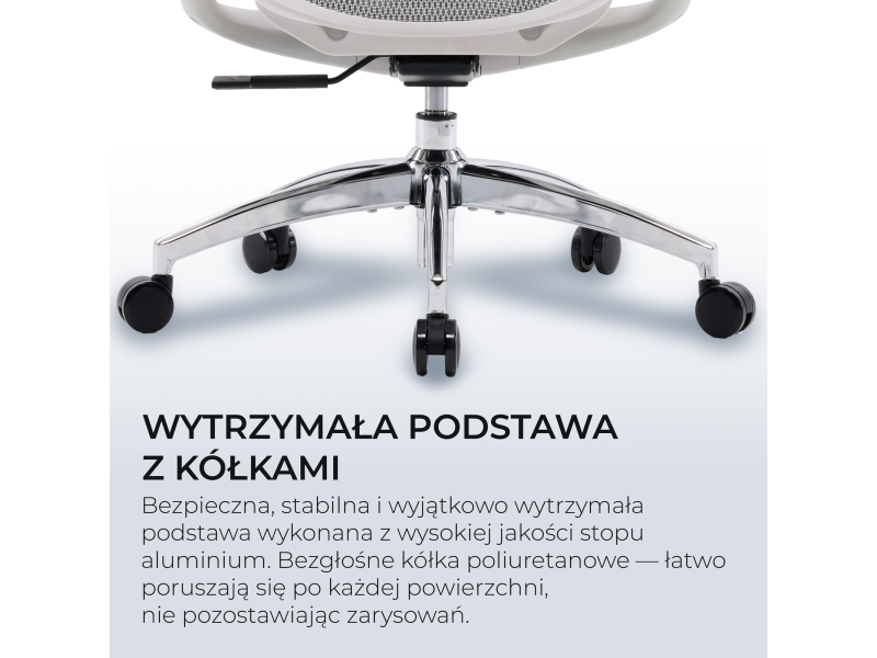 Sihoo DORO C300L Mesh biały