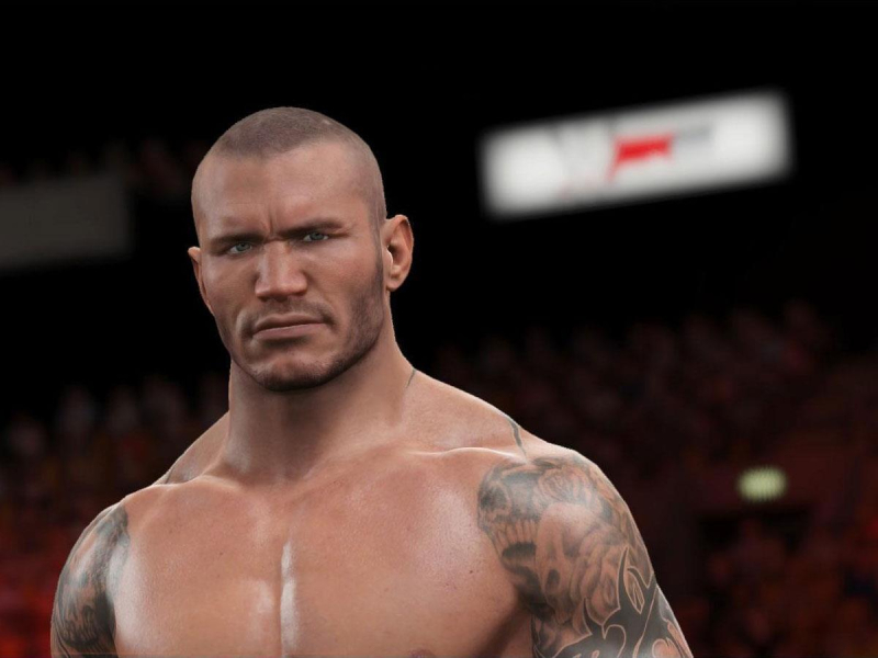 Brak Gra PS4  WWE 2K15