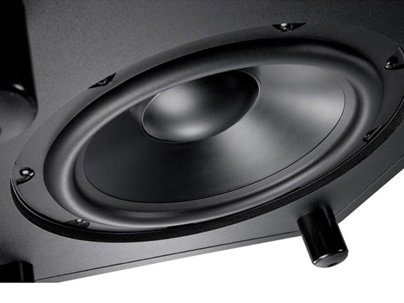 JBL LSR310S