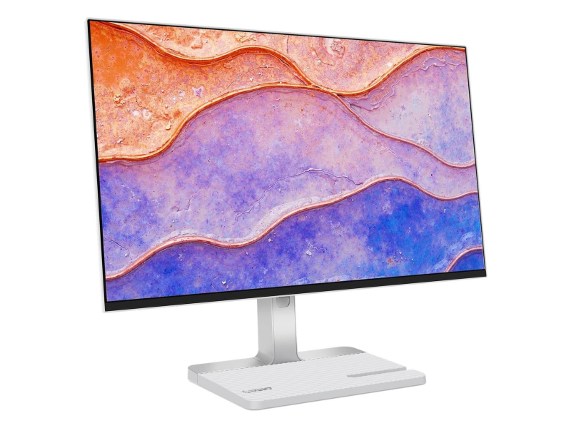 Lenovo L24D-4C - Złącza