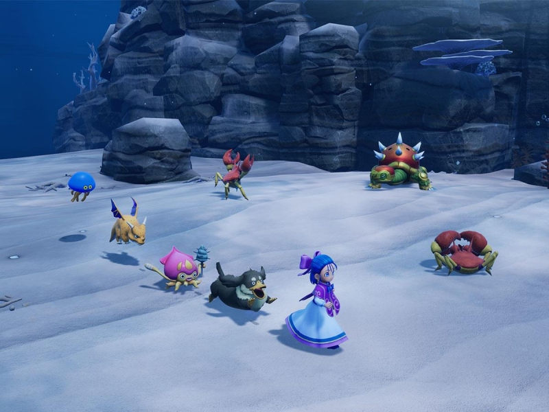 PlayStation DRAGON QUEST Monsters: The Withered World