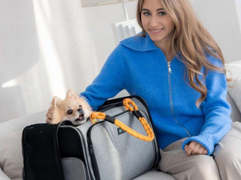 PetiGIO PETI-754-G torba/transporter dla zwierząt szara