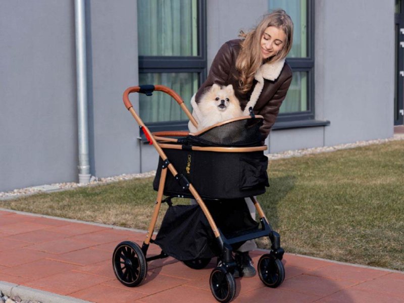 Wózek PetiGIO PETI-705-B ze stabilną konstrukcją
