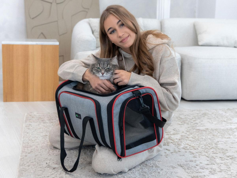 PetiGIO PETI-752-GR torba/transporter dla zwierząt szara