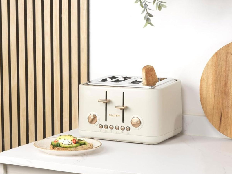 Salter Toster Pebble EK5823OBVDE
