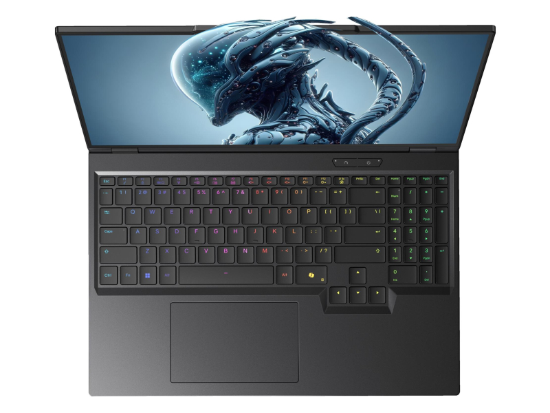 Dream Machines 16PL29 Ultra 9-290HX/32GB/1TB RTX5090 300Hz