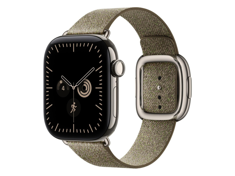Apple 42mm Sage Modern Buckle - Large