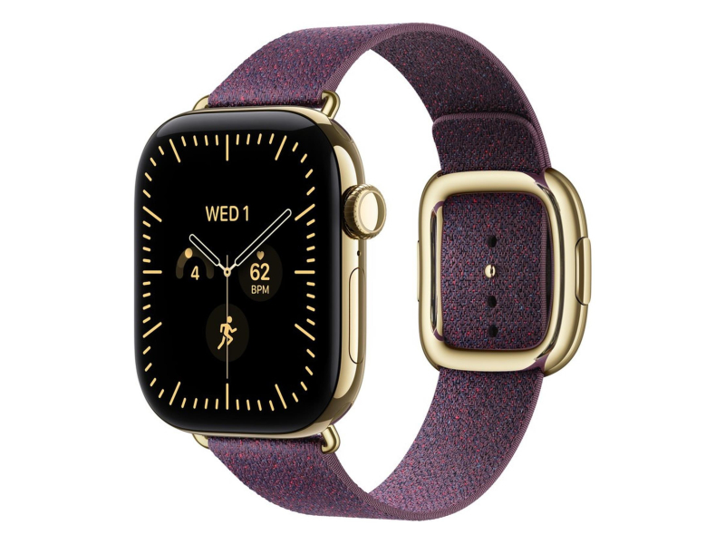 Apple 42mm Mulberry Modern Buckle - Large