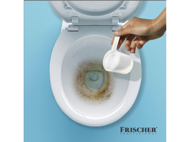 Frischer Professional Proszek do czyszczenia toalet 500 g