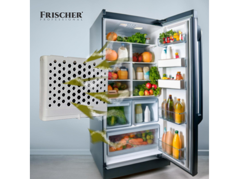 Frischer Professional Pochłaniacz zapachów do lodówki