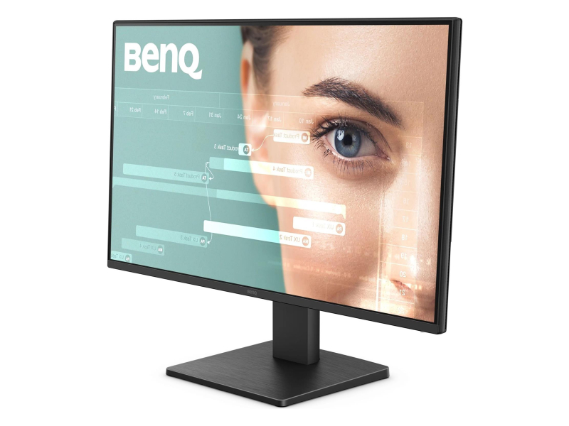 BenQ GW2491P