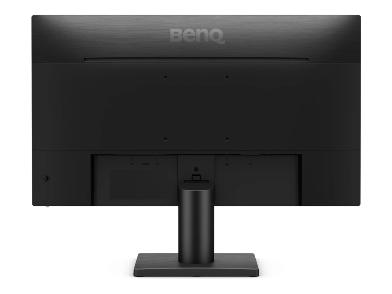 BenQ GW2491P