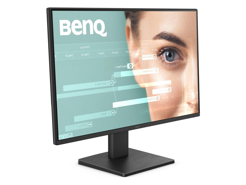 BenQ GW2491P