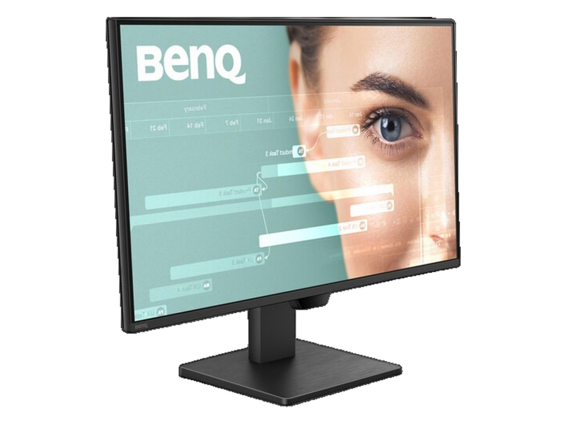 BenQ GW2490P