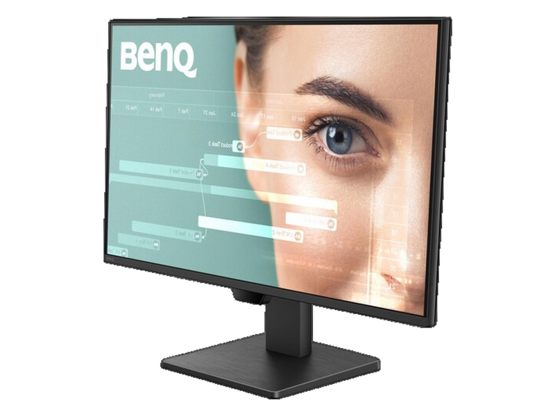 BenQ GW2490P