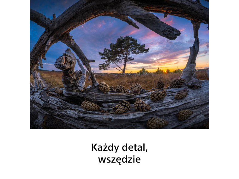 Sony FE 8–14mm f/3.5 Fisheye G