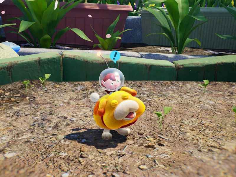 Switch Pikmin 4 + Dandori academy