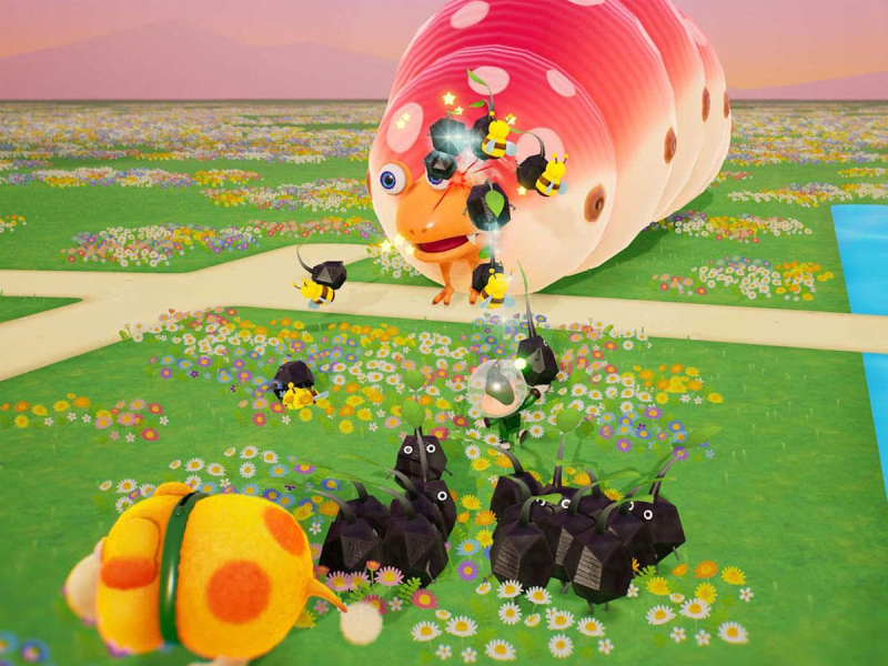Switch Pikmin 4 + Dandori academy